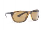 RAYBAN Sunglasses RB 4307 710/83 Brown