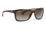 RAYBAN Sunglasses RB 4331 710/T5 Brown