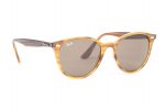 RAYBAN Sunglasses RB 4305 820/73 Brown