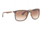 RAYBAN Sunglasses RB 4313 894/13 Brown