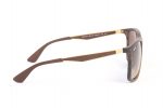 RAYBAN Sunglasses RB 4313 894/13 Brown - Image 5