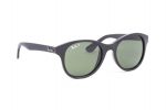 RAYBAN Sunglasses RB 4203 601/58 Green