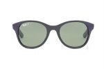 RAYBAN Sunglasses RB 4203 601/58 Green - Image 4