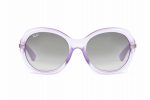 RAYBAN Sunglasses RB 4191 6105/11 Grey - Image 5