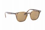 RAYBAN Sunglasses RB 4258 710/73 Brown