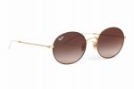 RAYBAN sunglasses RB 3594 9115/S0 brown