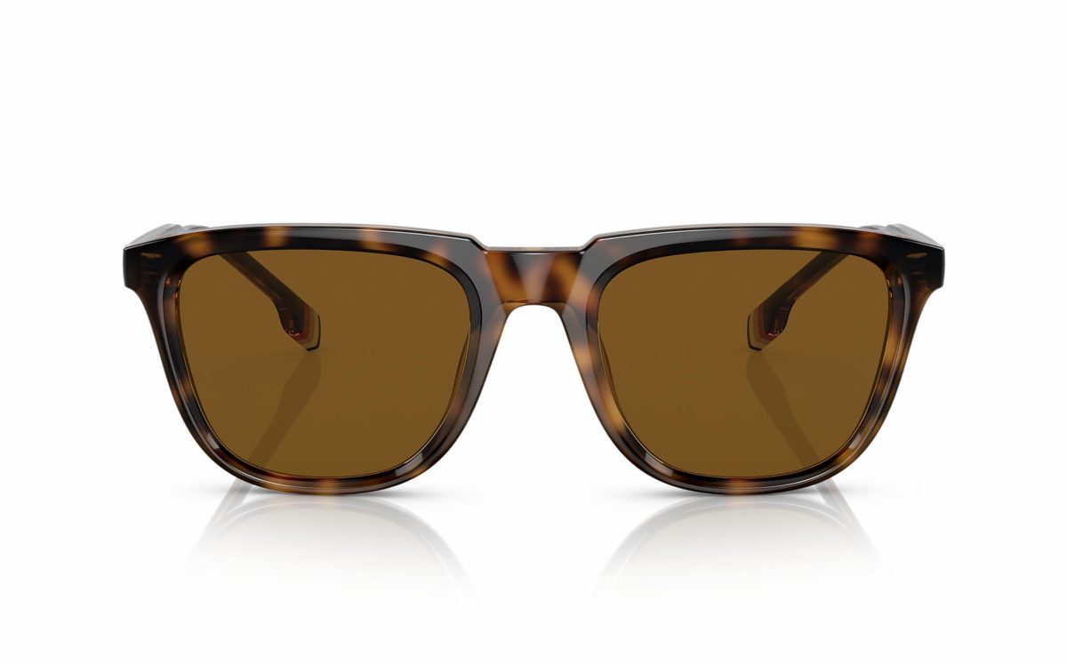 Burberry Sunglasses BE 4381-U 3002/83 Lens Size 54 Frame Shape Square Lens Color Brown Polarized for Men