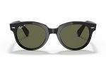 Ray-Ban Orion Sunglasses RB 2199 901/58 Lens Size 52 Frame Shape Round Lens Color Polarized Green for Unisex