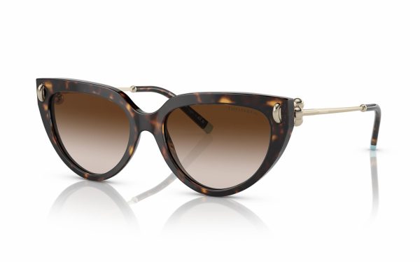Tiffany Sunglasses TF 4195 8015/3B Lens Size 54 Frame Shape Cat Eye Lens Color Brown for Women