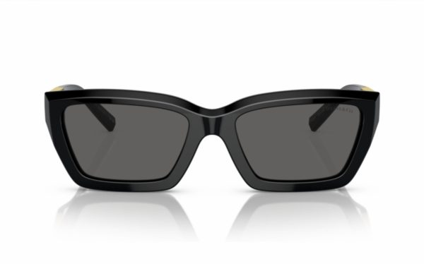 Tiffany Sunglasses TF 4213 8001/S4 Lens Size 54 Frame Shape Rectangle Lens Color Gray for Women