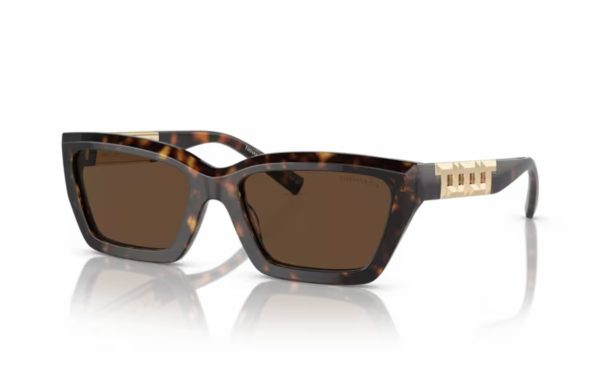 Tiffany Sunglasses TF 4213 8015/3G Lens Size 54 Frame Shape Rectangle Lens Color Brown for Women