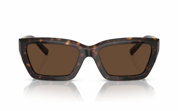 Tiffany Sunglasses TF 4213 8015/3G Lens Size 54 Frame Shape Rectangle Lens Color Brown for Women