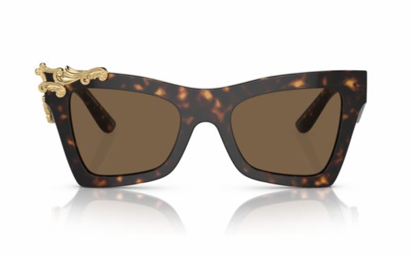 Dolce & Gabbana Sunglasses DG 4434 502/73 Lens Size 51 Frame Shape Cat Eye Lens Color Brown for Women