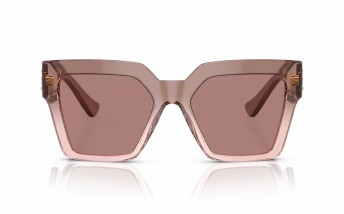 Versace sunglasses VE 4458 5435/73 lens size 54 frame shape butterfly lens color brown for women