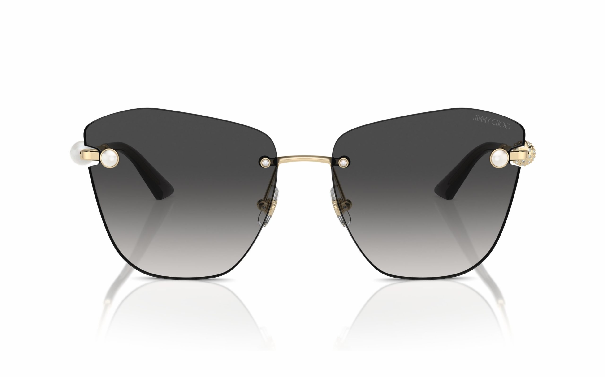 Jimmy Choo's JC Logo and Alexis Sunglasses for Summer 2021 - BagAddicts  Anonymous