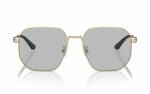 Emporio Armani Sunglasses EA 2154D 3002/87 Lens Size 57 Frame Shape Square Lens Color Gray for Men