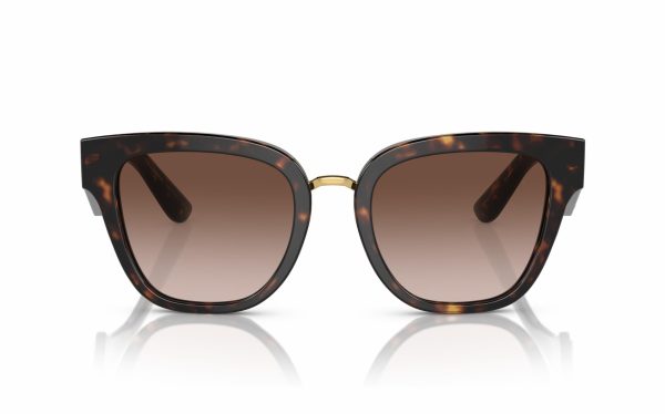 Dolce & Gabbana Sunglasses DG 4437 502/13 Lens Size 51 Frame Shape Butterfly Lens Color Brown for Women