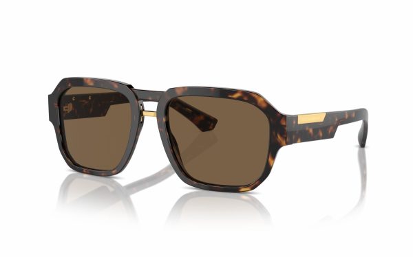 Dolce & Gabbana Sunglasses DG 4464 502/73 Lens Size 56 Frame Shape Aviator Lens Color Brown for Men