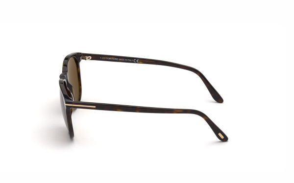 Tom Ford Ansel Sunglasses FT085852H53 Lens Size 53 Frame Shape Round Lens Color Brown Polarized for Men
