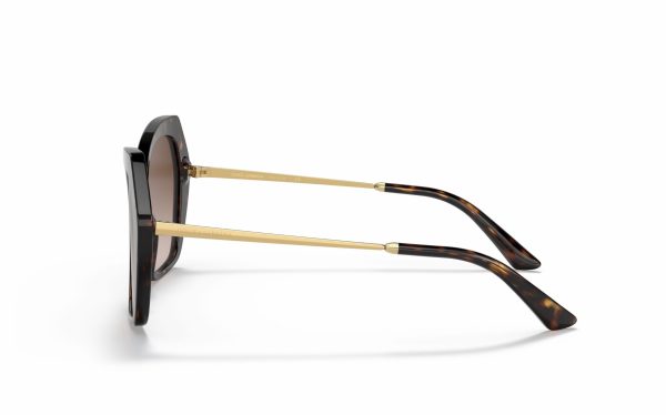 Dolce & Gabbana Sunglasses DG 4399 502/13 Lens Size 56 Frame Shape Butterfly Lens Color Brown Frame Color Havana for Women