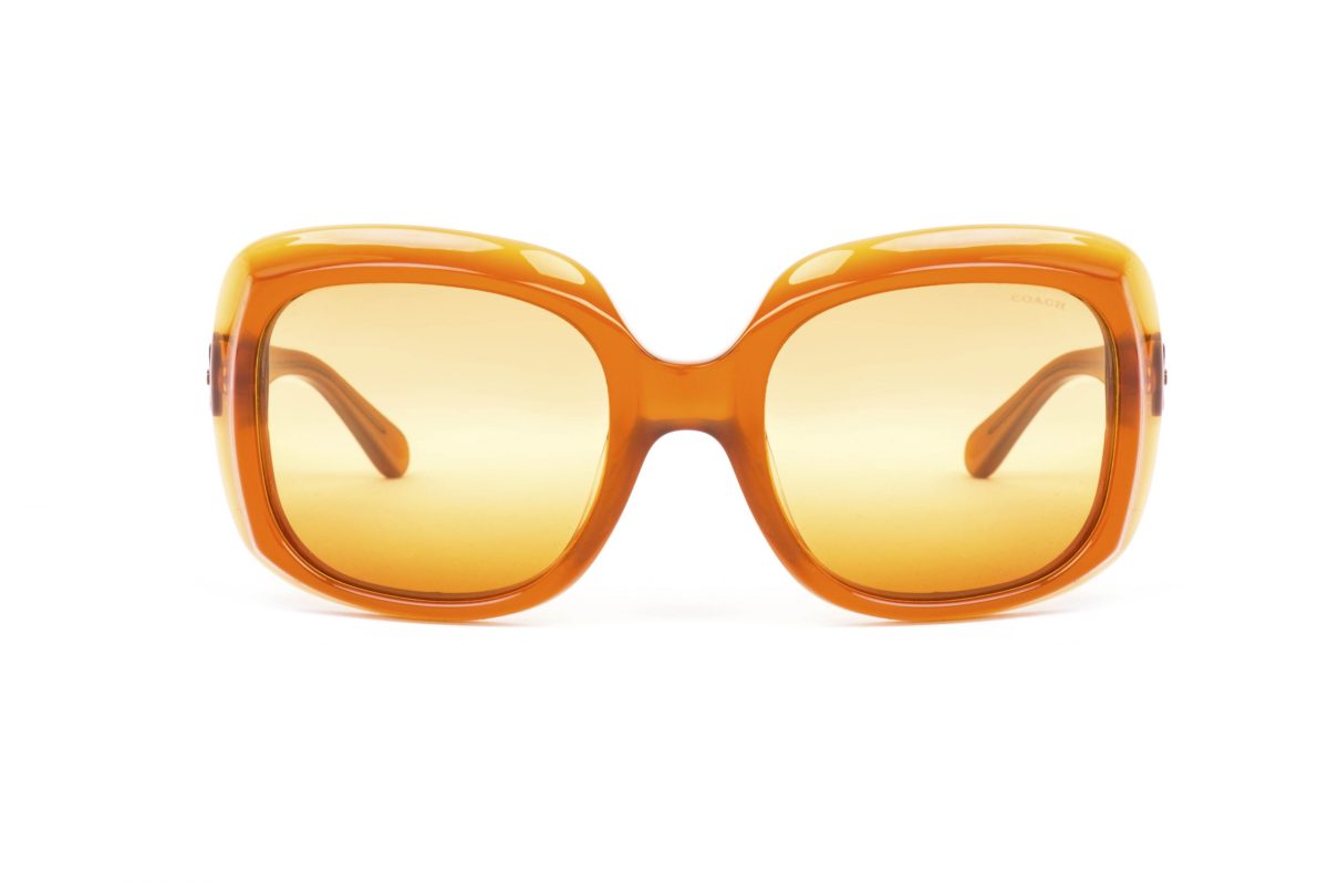 COACH Sunglasses CO 8194 5428W8 Brown - Image 3