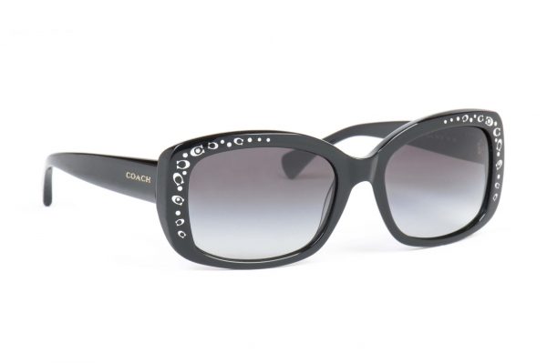 COACH Sunglasses CO 8161 500211 Grey
