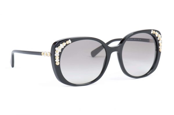 COACH Sunglasses CO 8186B 500211 Grey