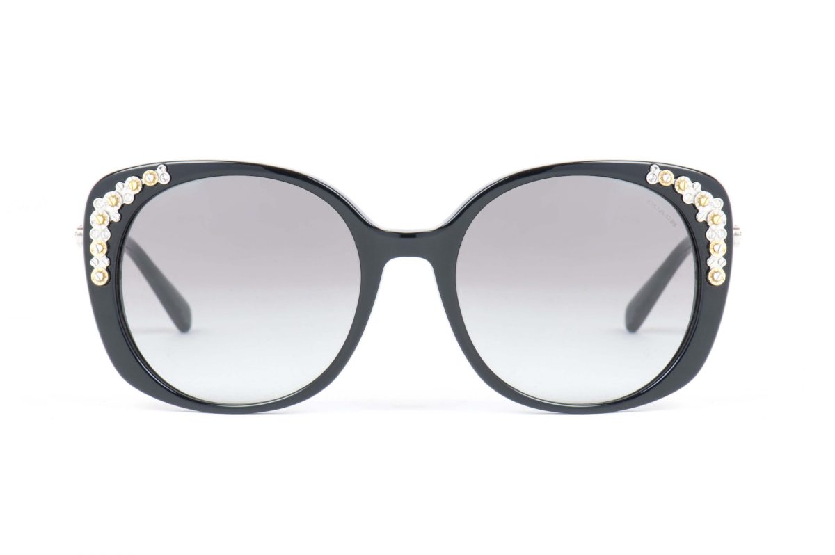 COACH Sunglasses CO 8186B 500211 Grey - Image 4