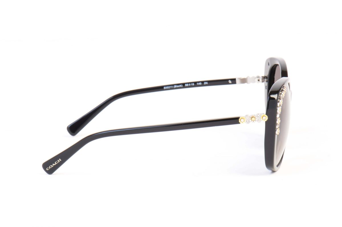 COACH Sunglasses CO 8186B 500211 Grey - Image 3