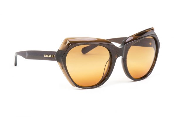 COACH Sunglasses CO 8193 5425W8 Brown