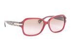 COACH Sunglasses CO 8105 5236-14 Brown