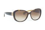 COACH Sunglasses CO 8040B 5033/13 Brown
