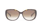 COACH Sunglasses CO 8040B 5033/13 Brown - Image 4